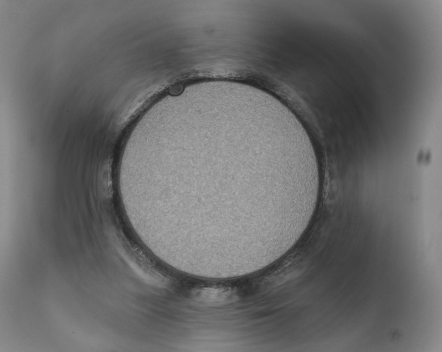 X0000111220251200907231447