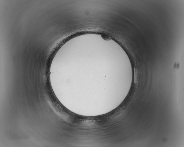 X0000111220252200907231447