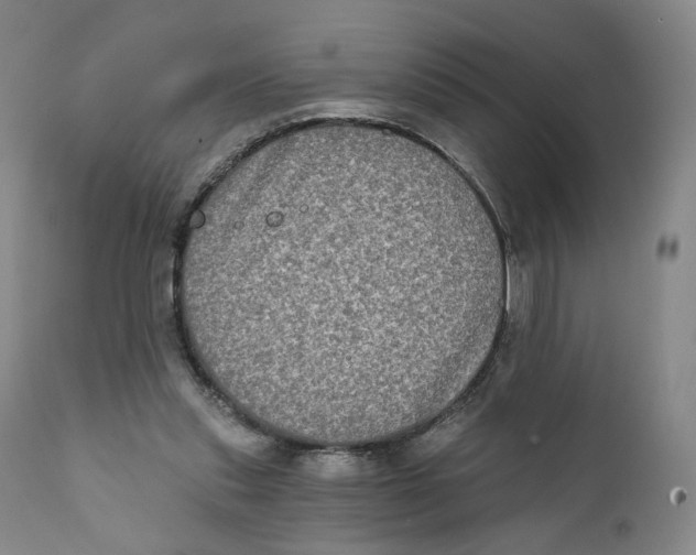 X0000111220253200907231447