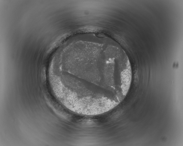 X0000111220254200907231447