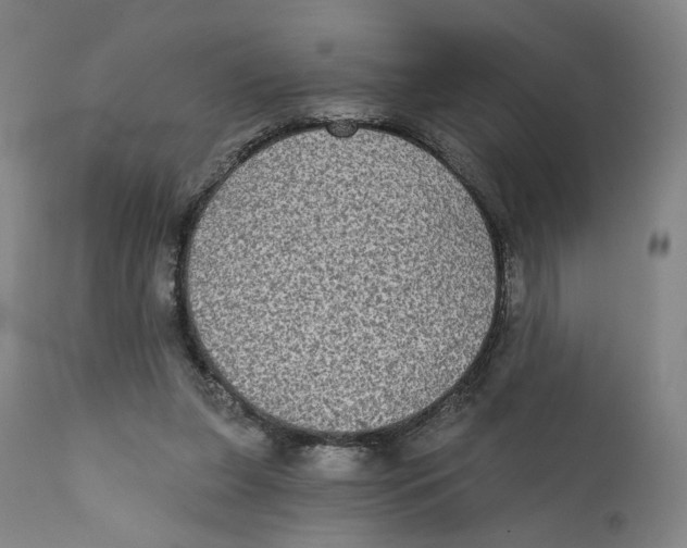 X0000111220255200907231447
