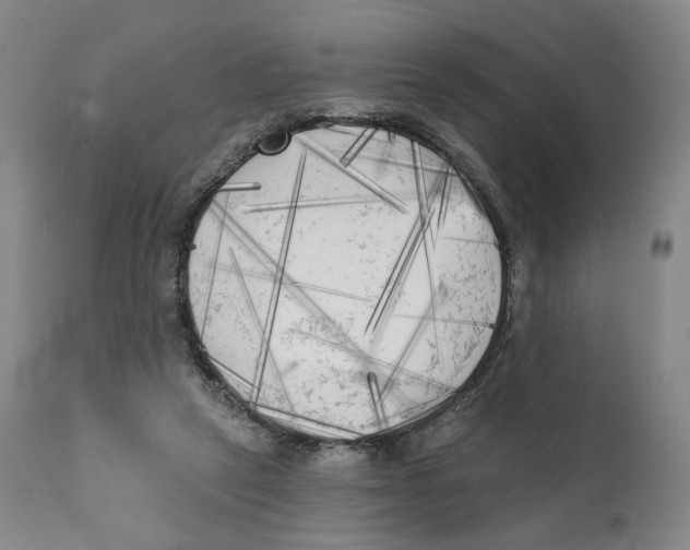 X0000111220257200907231447