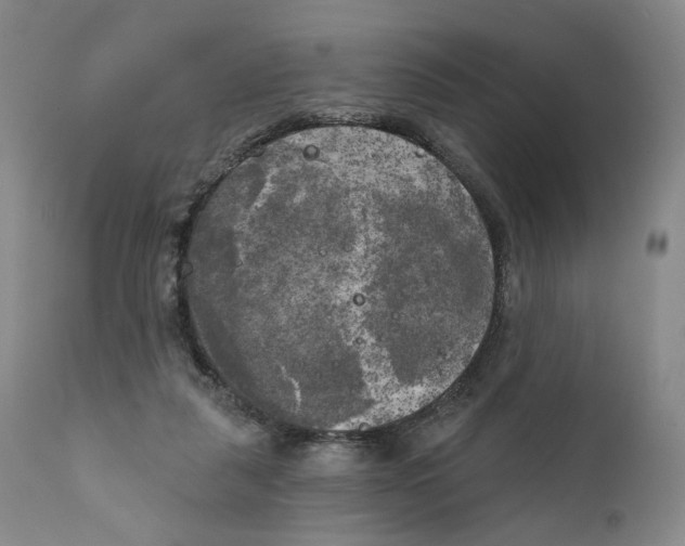 X0000111220259200907231447