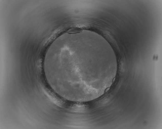 X0000111220260200907231447
