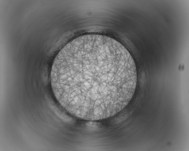 X0000111220261200907231448