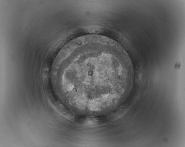 X0000111220263200907231448
