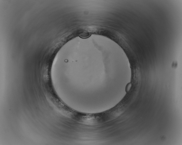 X0000111220267200907231448