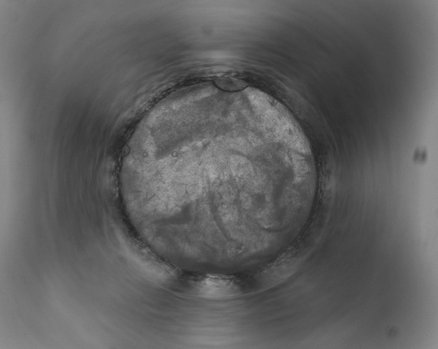 X0000111220270200907231448
