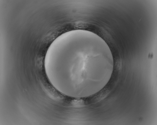 X0000111220271200907231448