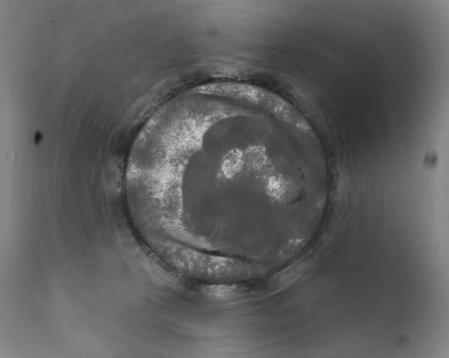 X0000111220273200907231448