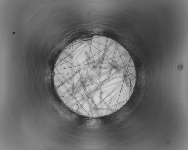 X0000111220274200907231448