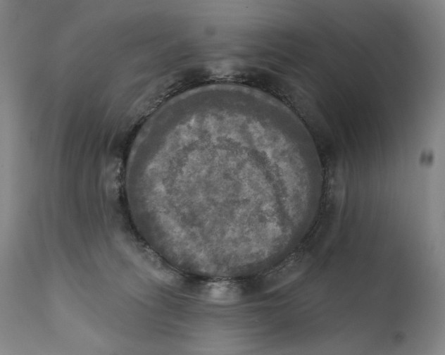 X0000111220275200907231448