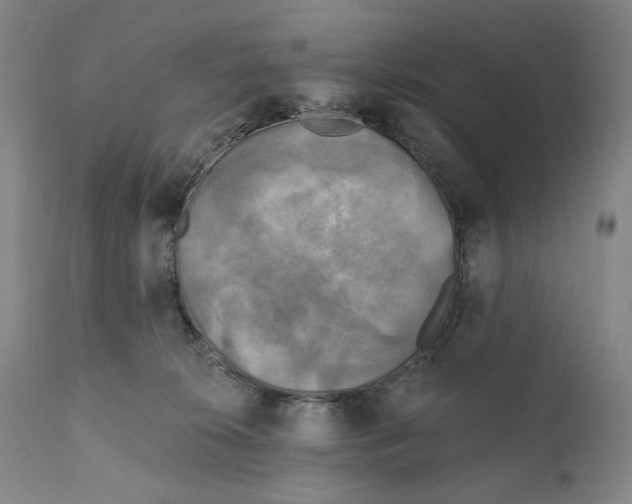 X0000111220276200907231448