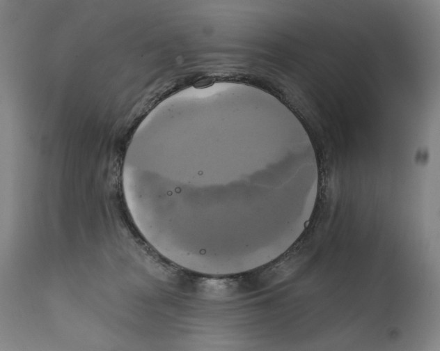 X0000111220277200907231448