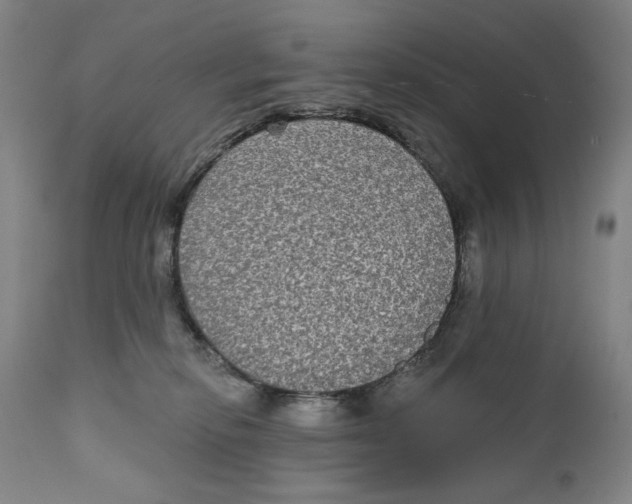 X0000111220278200907231448