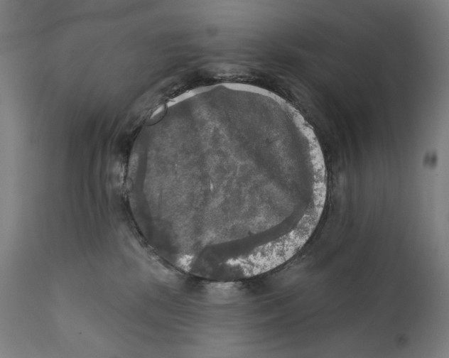 X0000111220281200907231448