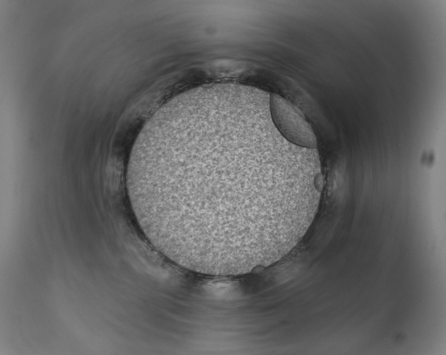 X0000111220283200907231448