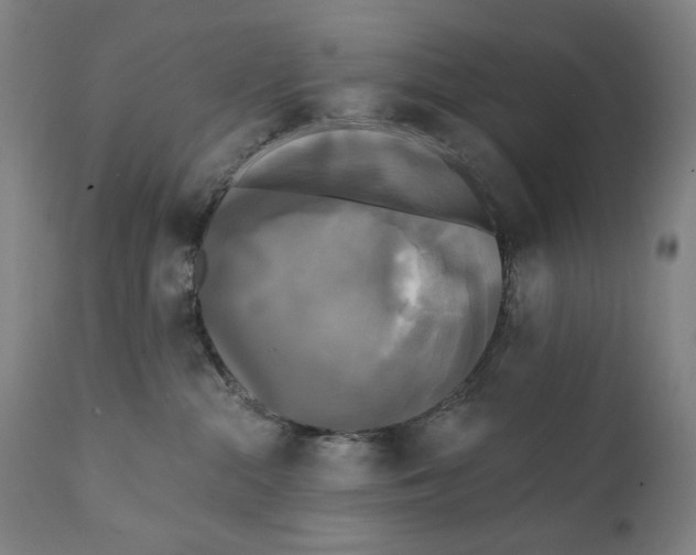 X0000111220284200907231448