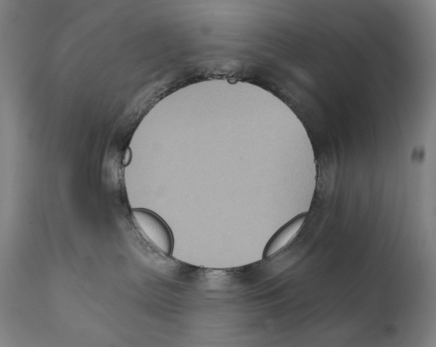 X0000111220287200907231448