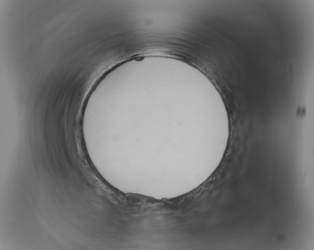 X0000111220289200907231447
