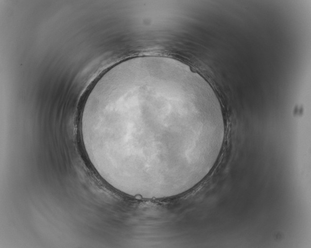 X0000111220290200907231447