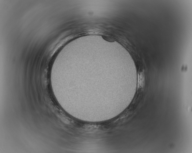X0000111220291200907231447