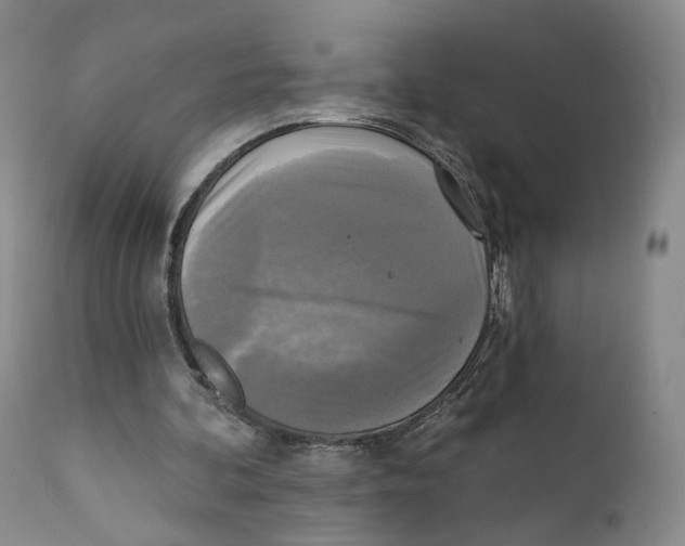 X0000111220292200907231447