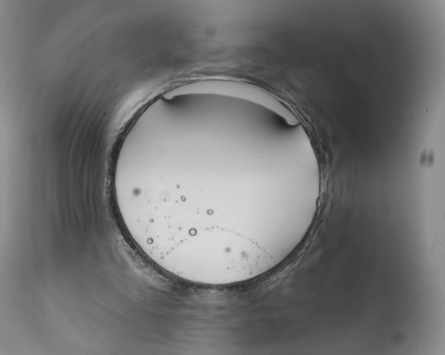 X0000111220293200907231447