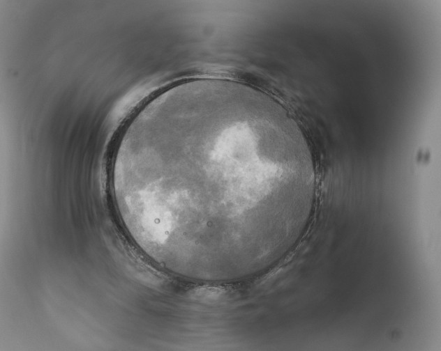 X0000111220294200907231447