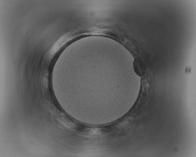 X0000111220295200907231447
