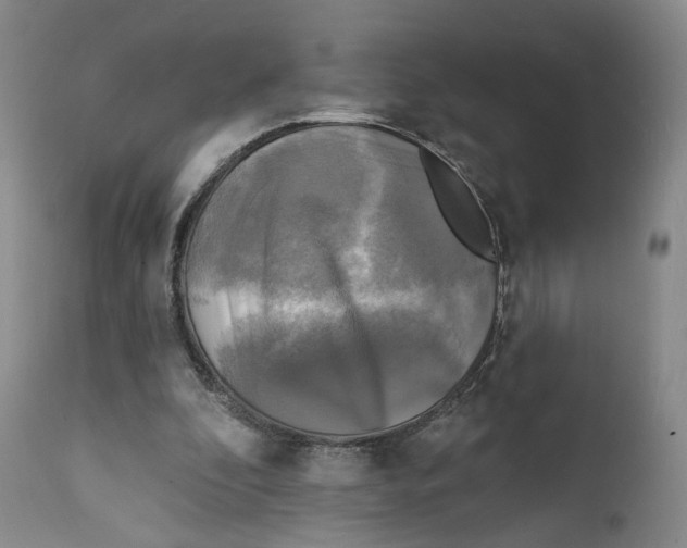 X0000111220296200907231447