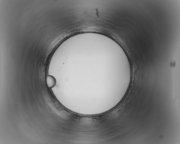 X0000111220298200907231447