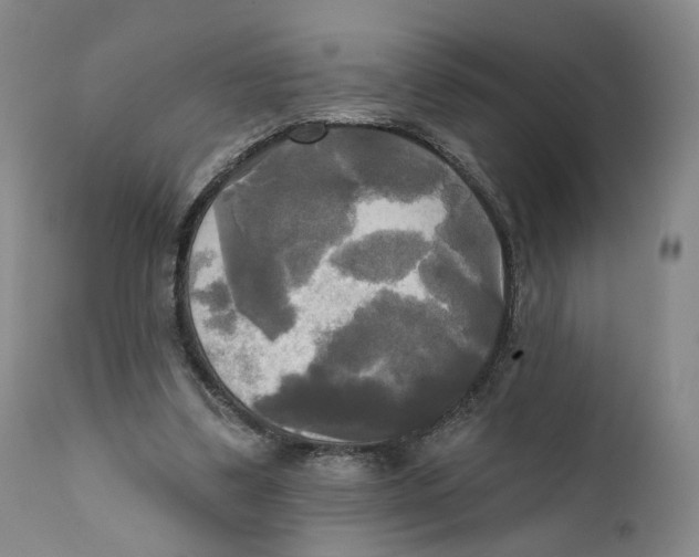 X0000111220299200907231447