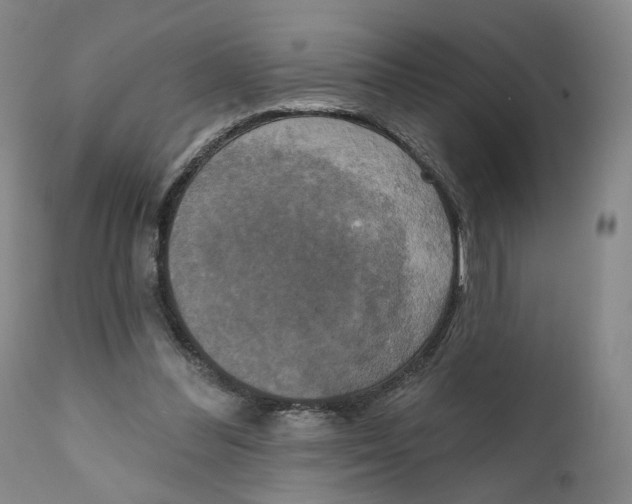X0000111220300200907231447