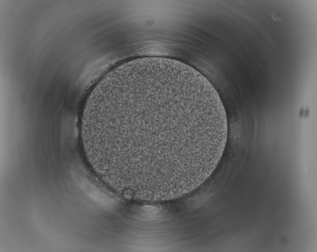 X0000111220302200907231447