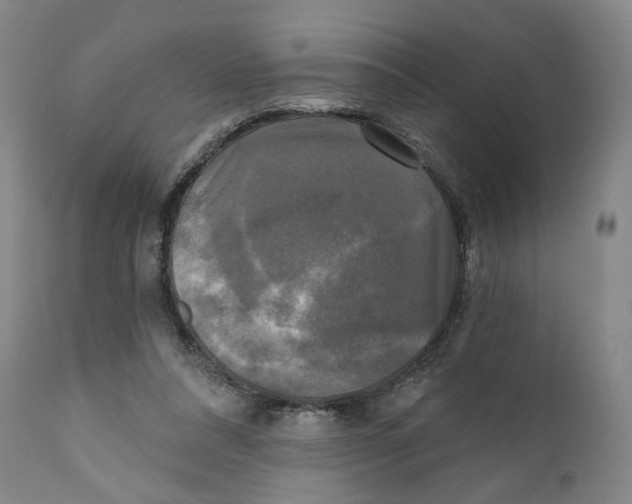 X0000111220304200907231447
