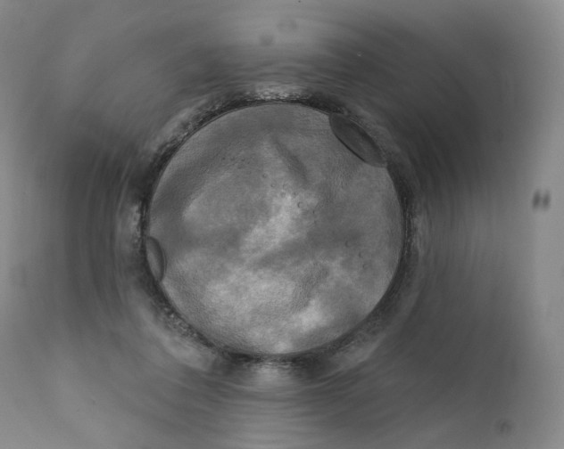 X0000111220308200907231447