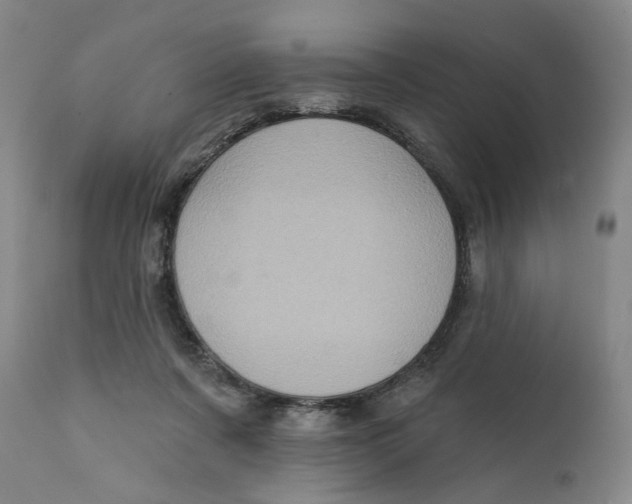 X0000111220311200907231447