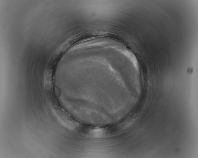 X0000111220312200907231447