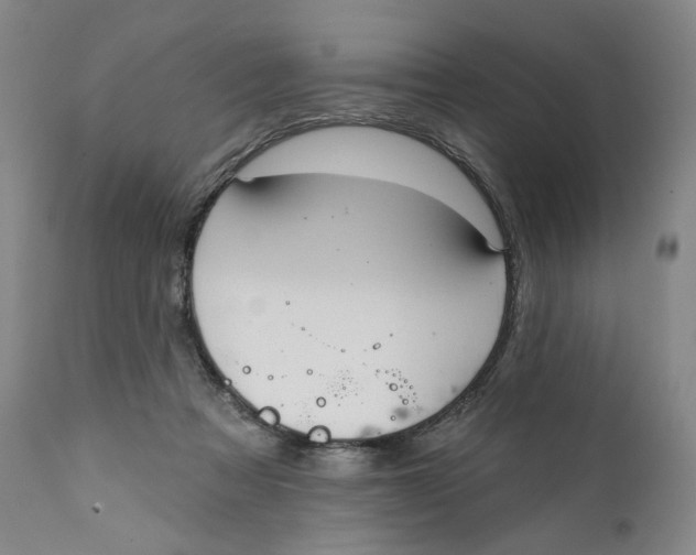 X0000111220313200907231447