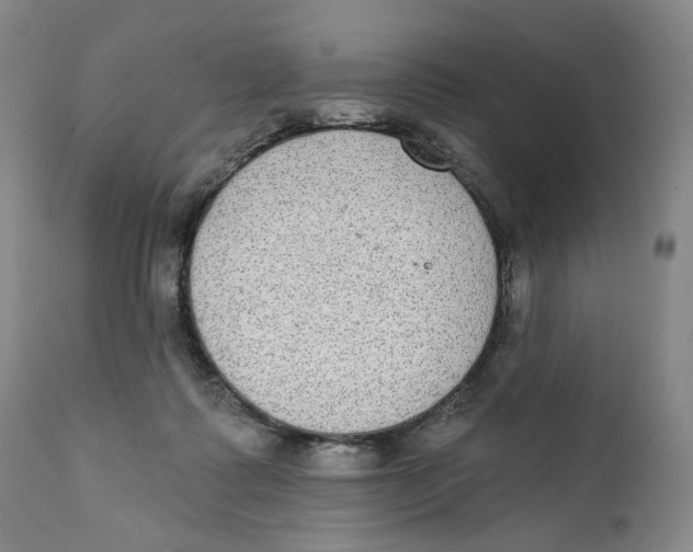 X0000111220315200907231447