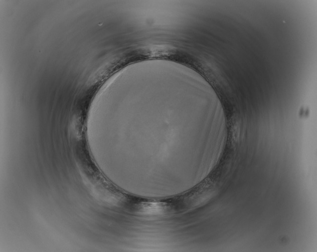 X0000111220316200907231447