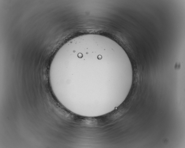 X0000111220317200907231447