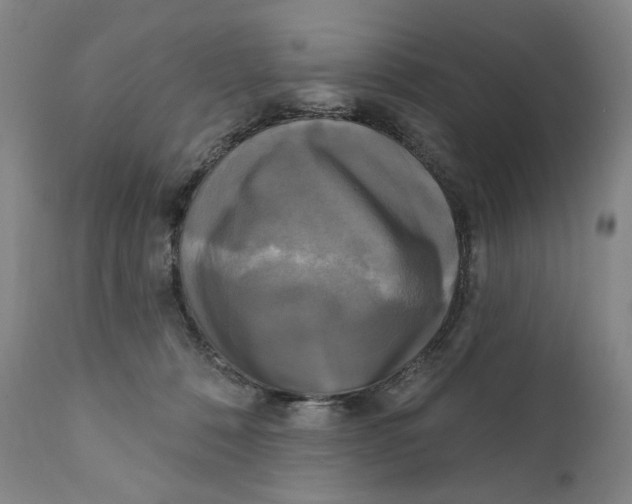 X0000111220320200907231447