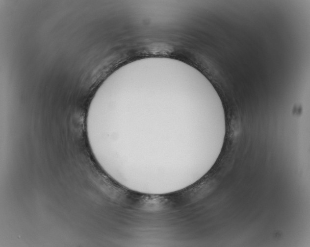 X0000111220321200907231447