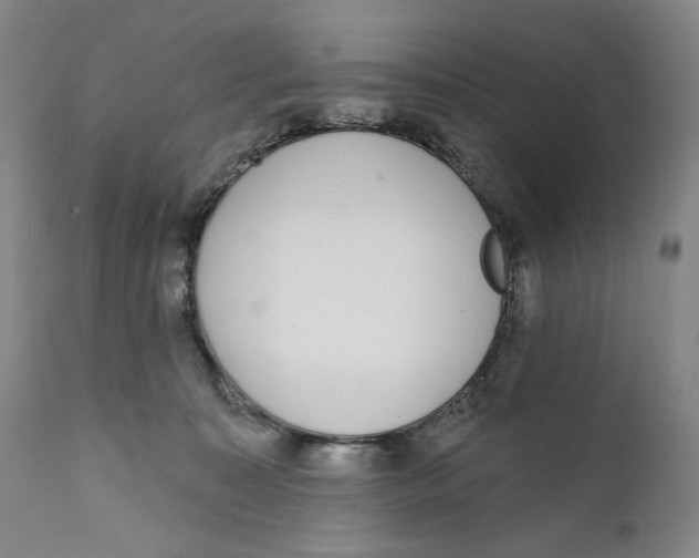 X0000111220323200907231447