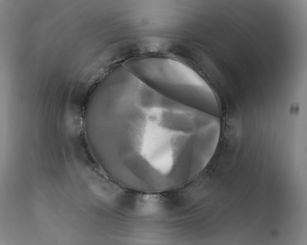 X0000111220324200907231447
