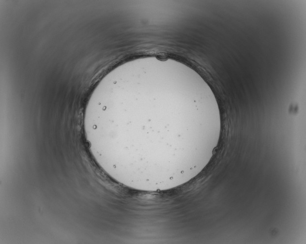 X0000111220325200907231447