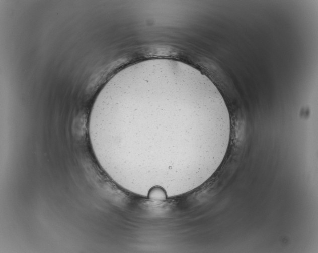X0000111220326200907231447