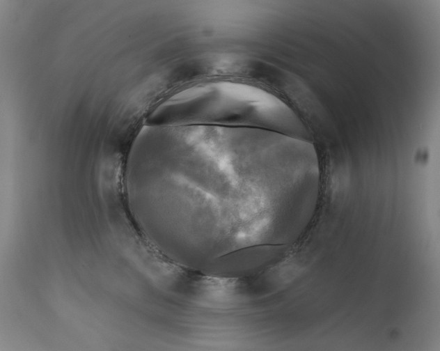 X0000111220328200907231446